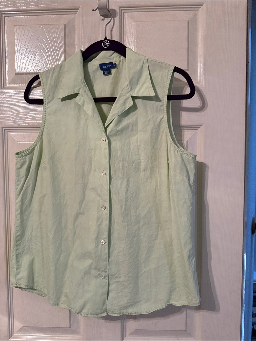J. Crew Sleeveless Button-Front Blouse in Pale Mint.   Size = L